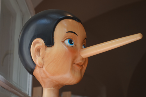 Image depicting a lie